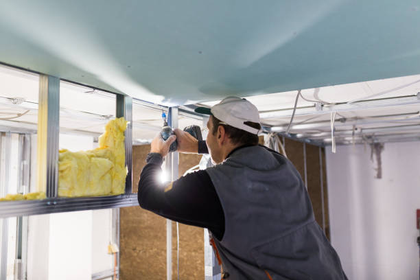 Best Types of Insulation in Schaumburg, IL