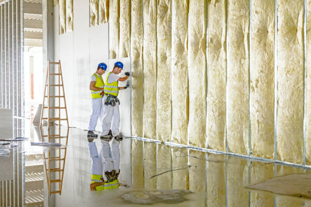 Best Insulation Materials and Products in Schaumburg, IL